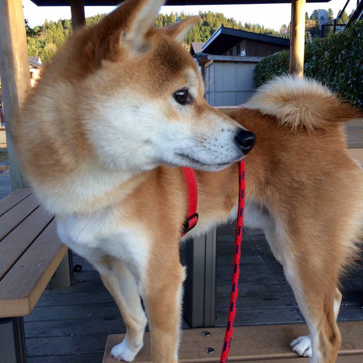 Ad85cb6e 993b 4724 9899 45727c690d21