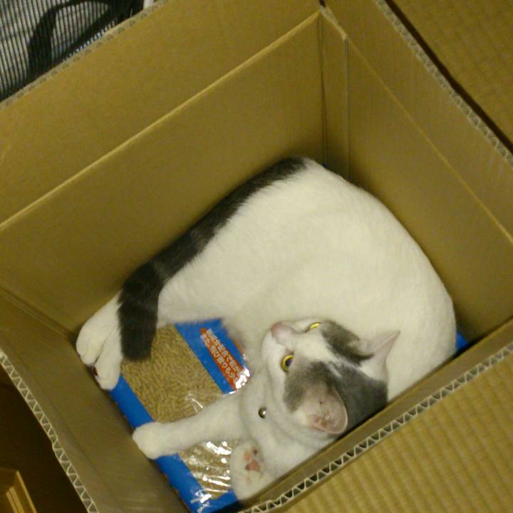 Ad85cdfd c99b 4601 9589 59f2c438b765