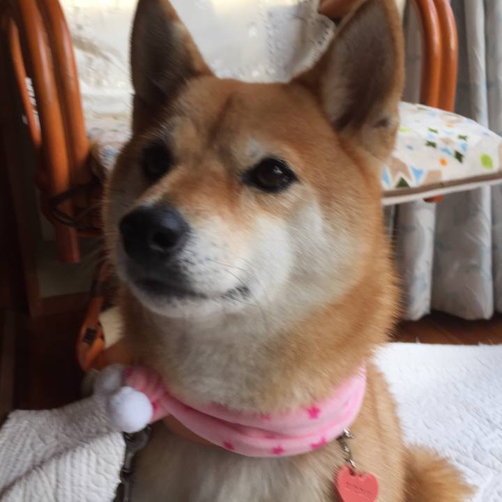 Ad86406c c760 41d0 8d7f 1b9a737c9821