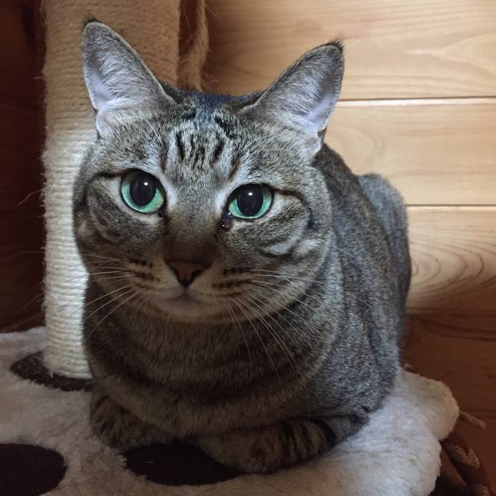 Ad865e6a a65b 42e0 a6ff 31cb100fa73a