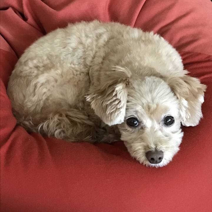 Ad86a48b 338f 4851 9d85 dbb69b7423b0