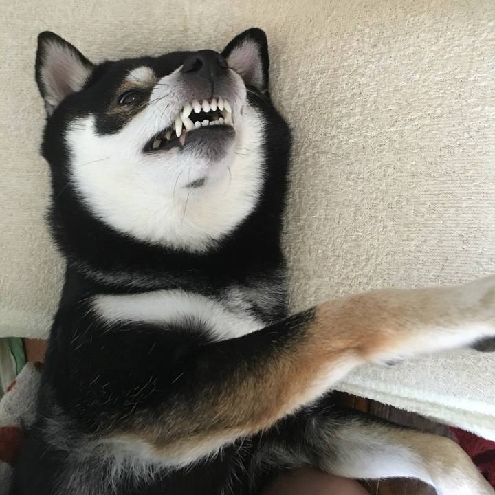 Ad87632d 1c76 480e a7bc 7d5e0aac7f57