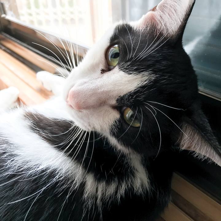 Ad8778f0 c57b 473b bcc8 d41d33285014