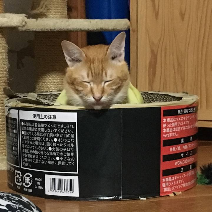 Ad87d80e 9f21 4198 bb9b f799c7cbadd6