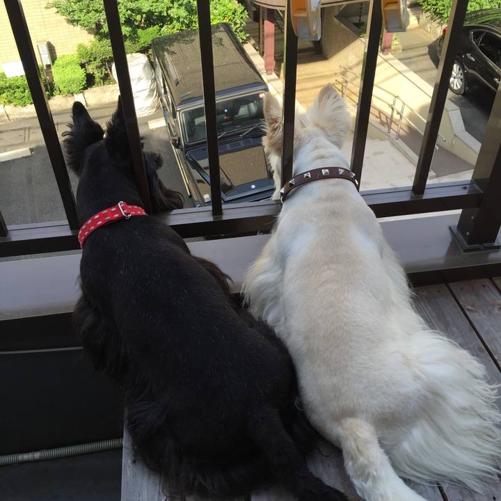 Ad886c09 46b4 4c2d a761 700f51f3fe2c