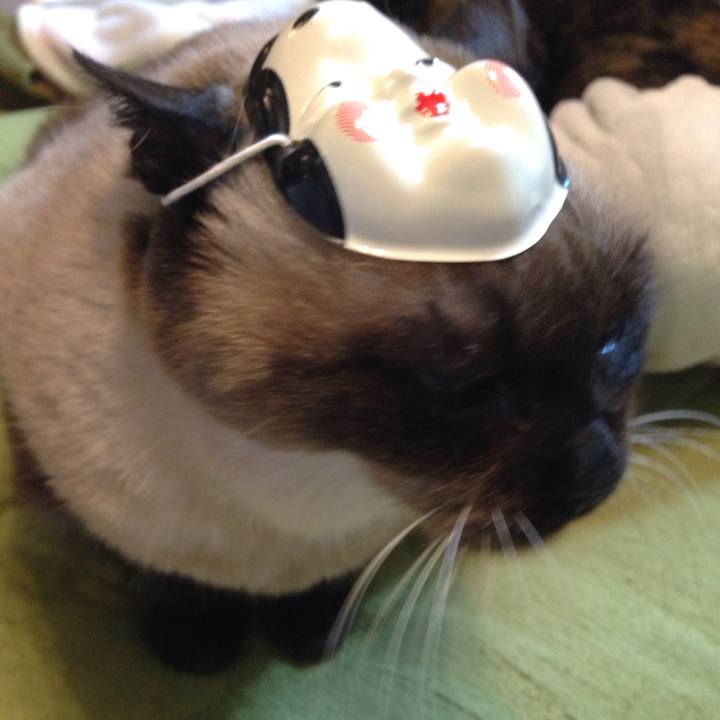 Ad889b04 eb6c 4b80 94f2 ac716abe9ac6