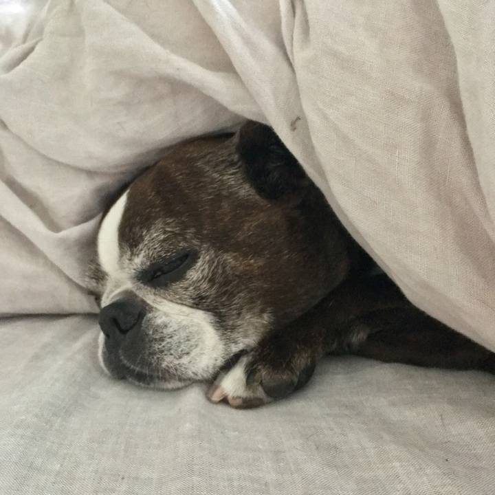 Ad89c685 bc39 4ec2 9015 b5a4b39aaffe