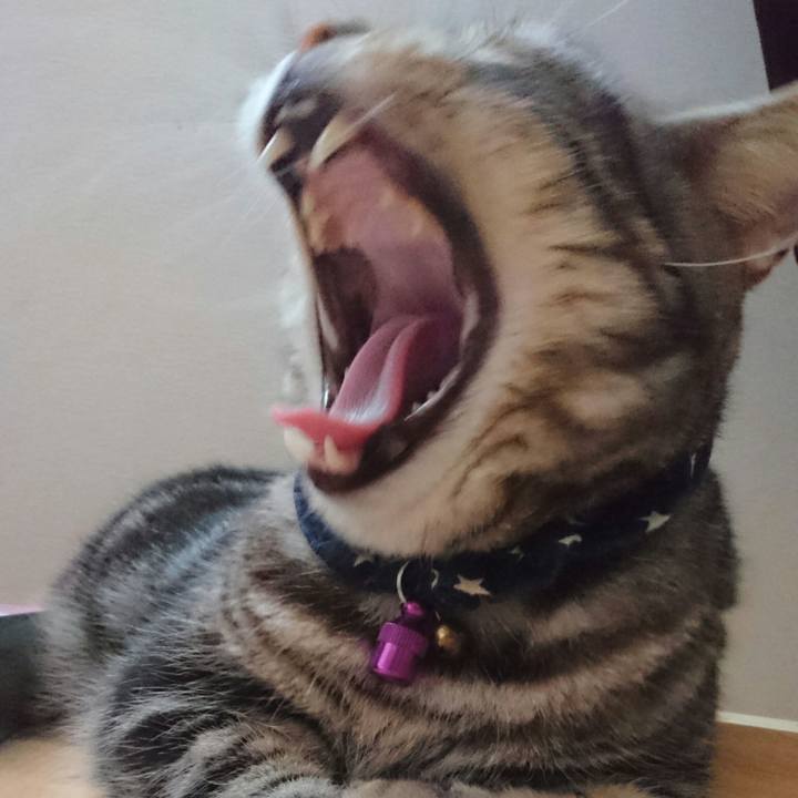 Ad89e3e1 5299 4b00 a3b5 71323388ec0e