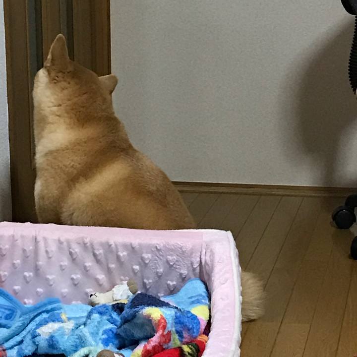 Ad8a11a4 490e 4c63 bc7c 247b95bb8758