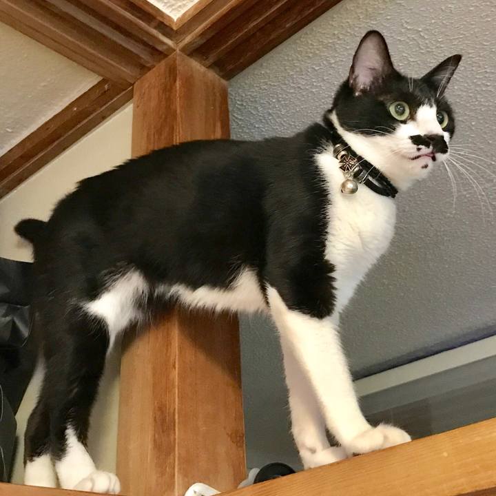 Ad8b0e11 c447 4e49 ad95 f4c22fb3d76f