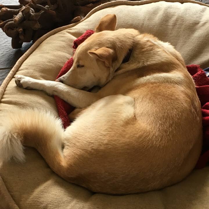 Ad8b9081 485d 404c a7dc 6607c0681376