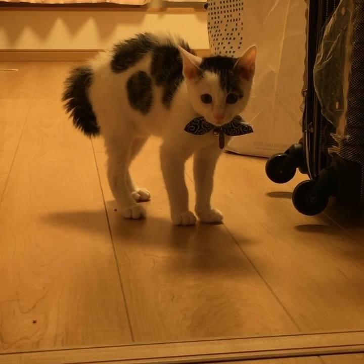 Ad8caed3 0f58 420c b402 d12cb9c4d102