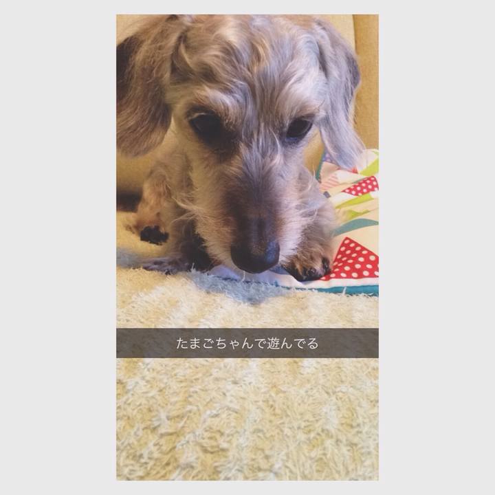 Ad8d3dae 39ab 45cc aeaf 9e66e685202c