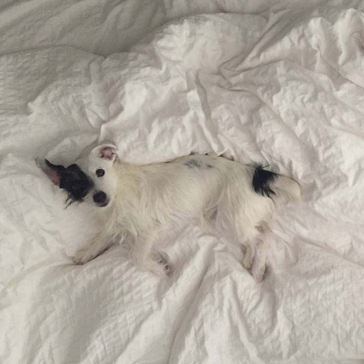 Ad8d6931 a4aa 4523 b233 0a63b5c34cb7