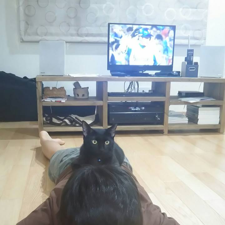 Ad8d8576 22e2 4798 aa74 717fe8cdf079