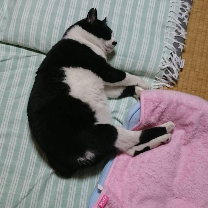 Ad8d9ec1 7c9a 47d7 8d47 f3381cb45666