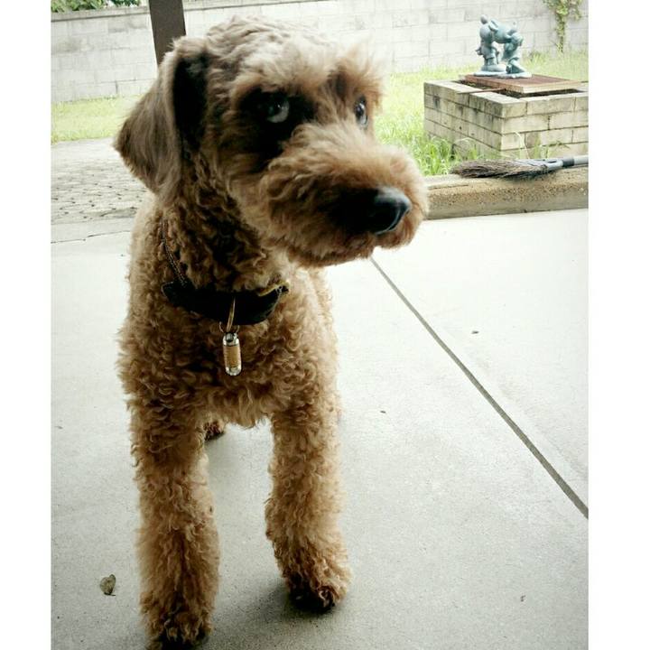 Ad8d9f63 17f7 4a51 b085 a0a3571eecd2