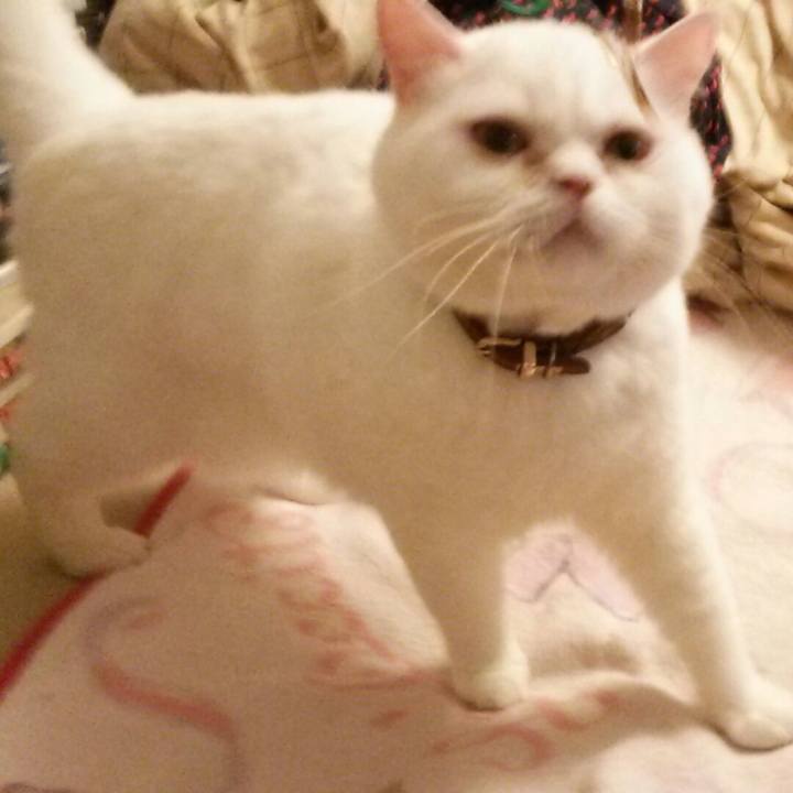 Ad8e046a 7743 4b7f 9905 b5c38537b109