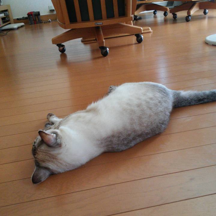 Ad8e0c0f 1919 4570 a8e1 c2e69d82ac5b