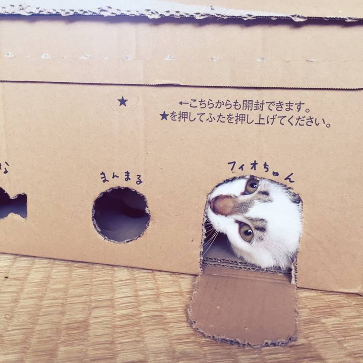 Ad8eab1f 7025 417a b852 232687d030f5