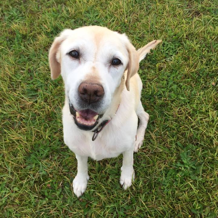 Ad8f00ea f6a9 432a 8327 15ce71874f69