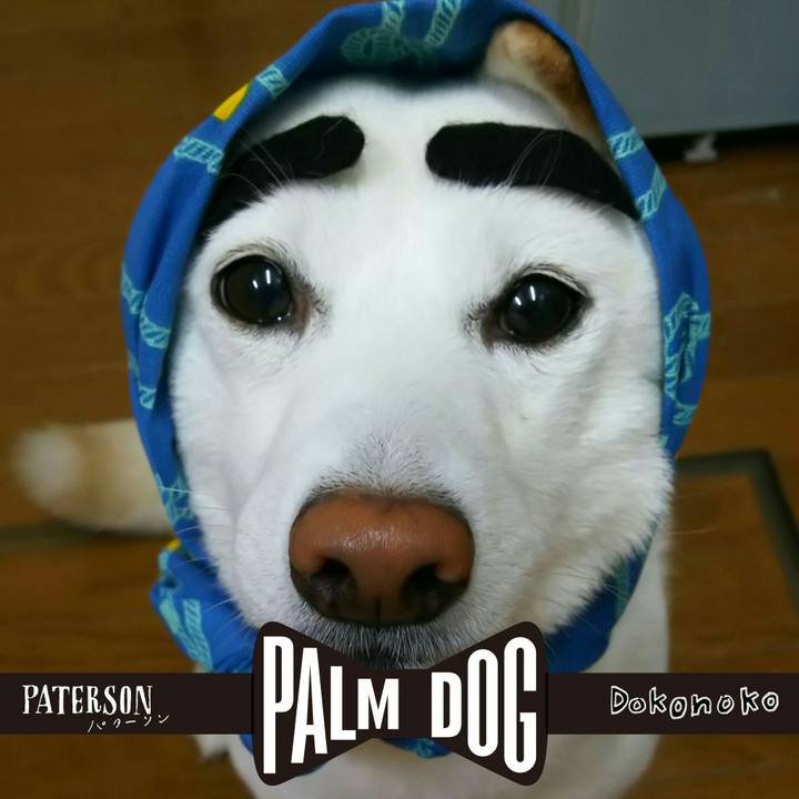 Ad8f8564 30b8 4d22 b00f 7fa4256fbfe8