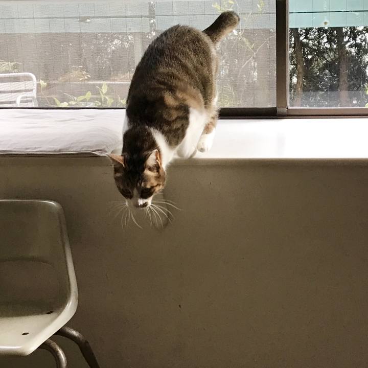 Ad900014 f53d 4fed b2ee 506f1aade04e