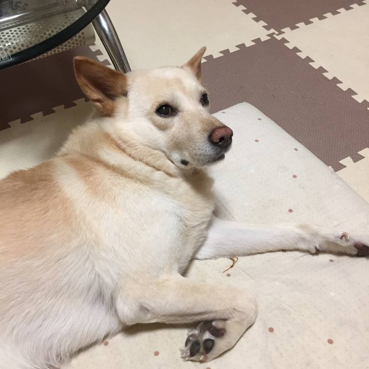 Ad907729 c41c 4cce a560 9220c3f9c156