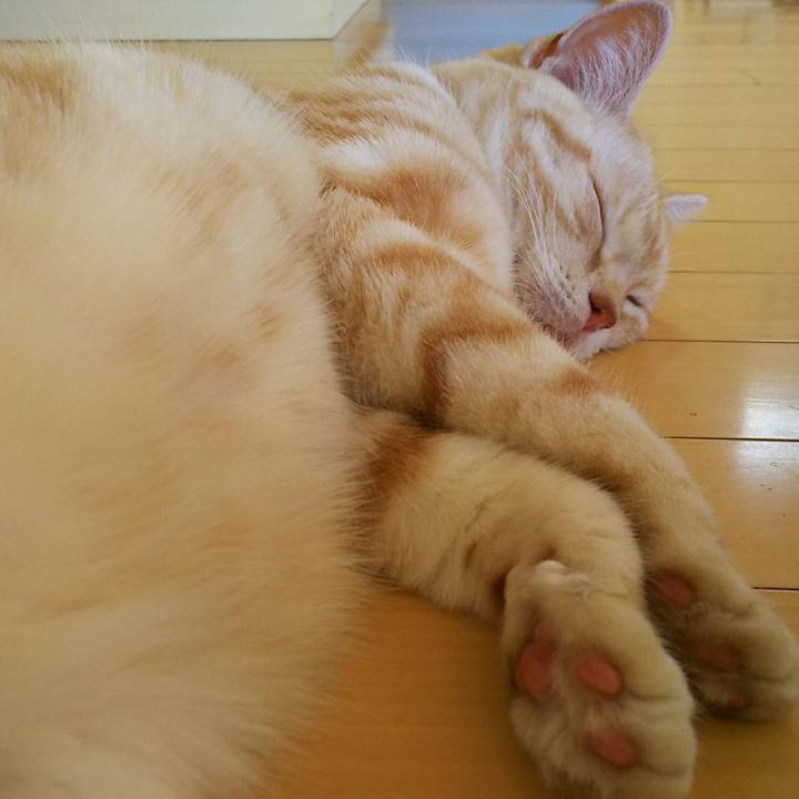 Ad90ad7c e9ab 4ca7 8fac 1900bf3c45ff