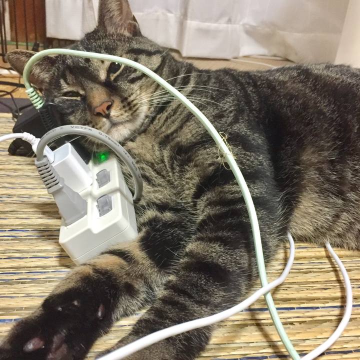 Ad91c974 356c 4501 862e 3928b34c39d6