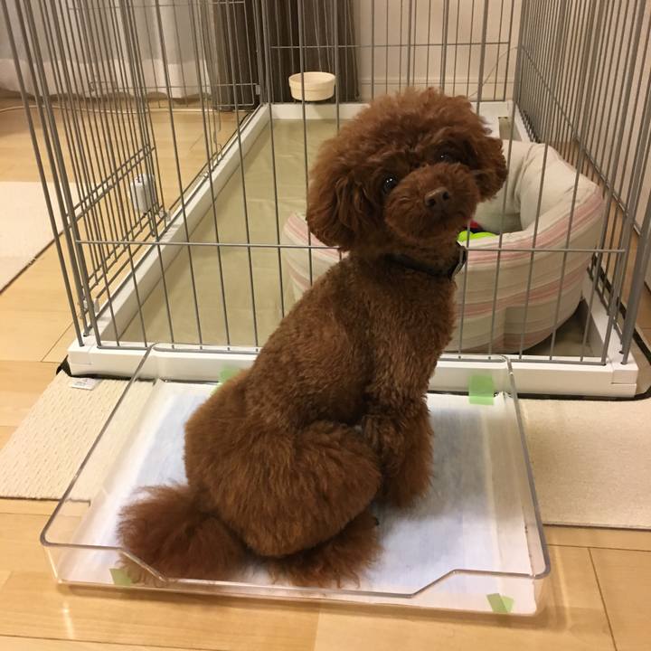 Ad92002e b4ad 447f a3a6 5868c2fdea62