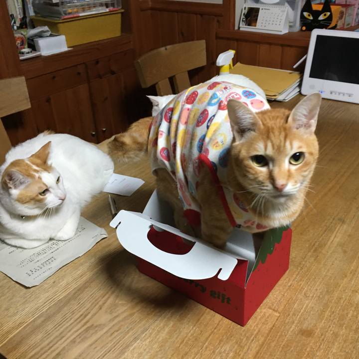 Ad93d06b c34a 480d 8784 973f2dcbc7cf