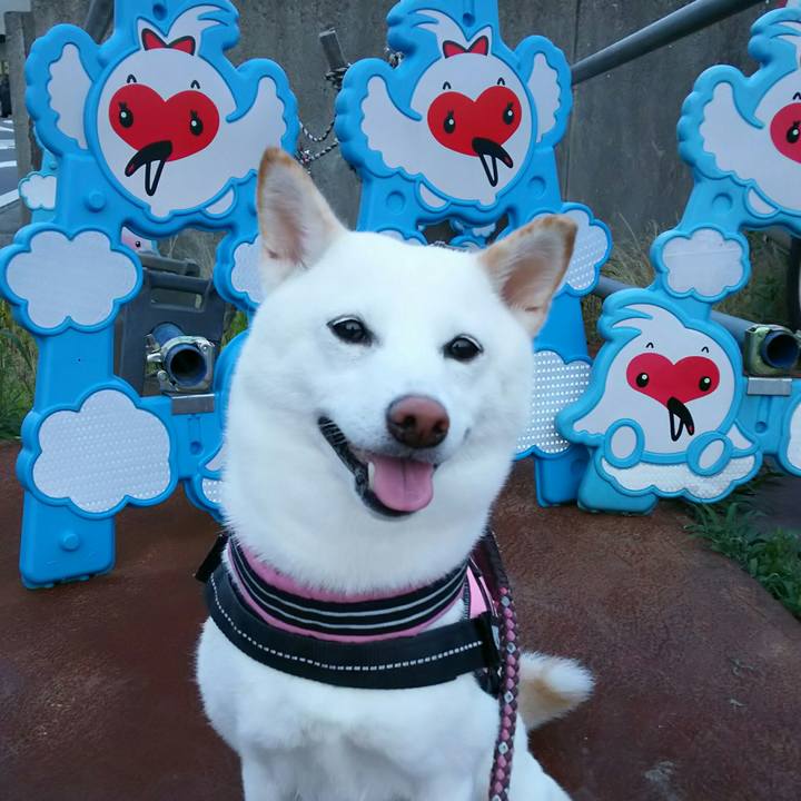 Ad95730f 2fdf 4fc2 87c8 054f2bdf7d3a