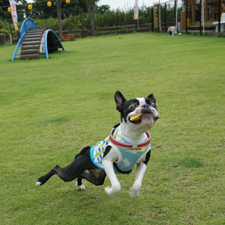 Ad95f2ac 2438 4473 864f 458c15707230