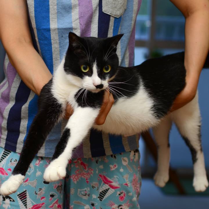 Ad961265 e280 4b4f bd68 44cad7fe992d