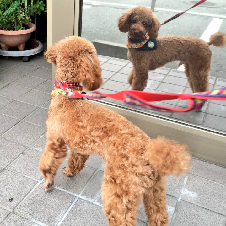 Ad962dd9 2d24 452b 8376 67b913c8c0e8