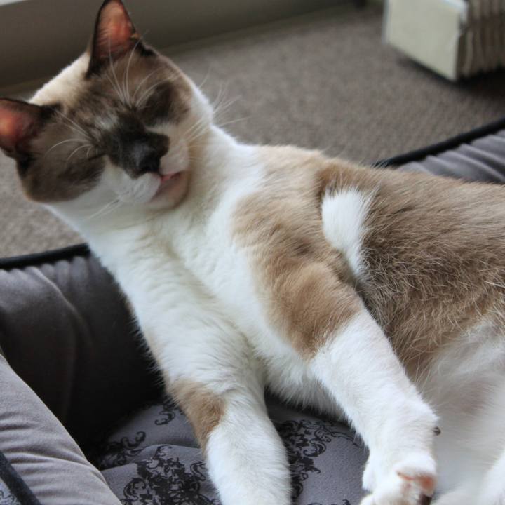 Ad9662e4 5d1c 4563 9513 57e6f61b3157