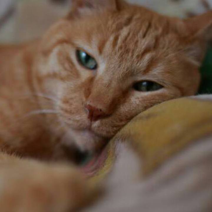 Ad96e766 5784 41a6 89ee 98da0745c0d9