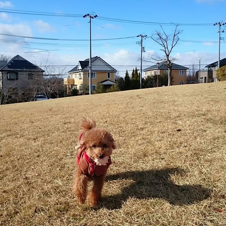 Ad972147 f727 4b21 b4e6 2d5168ee2638