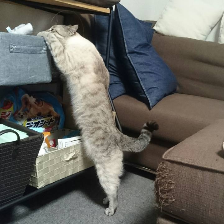 Ad9735a4 e9ca 46aa 91c8 d35afd96d559