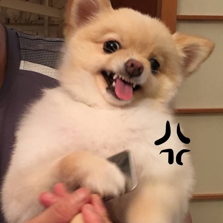 Ad9755d3 b138 4644 98bd efe38f73846d