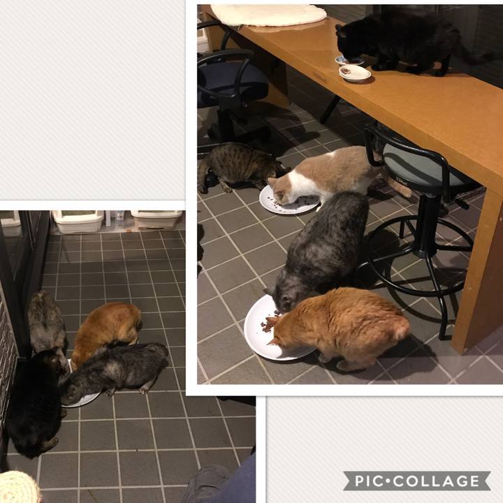 Ad97df1b 7193 43fa b73c b7b0424ca8dc