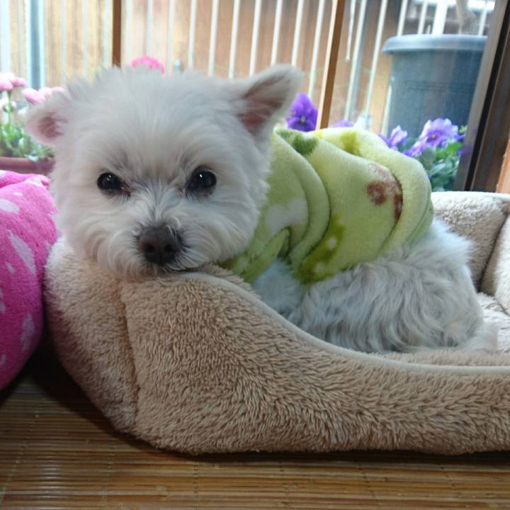 Ad980776 3748 40ae 9fa0 e8359ca85d9d