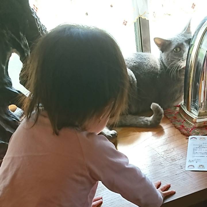 Ad984d65 f55c 4356 88cd 3eb3276ebf54