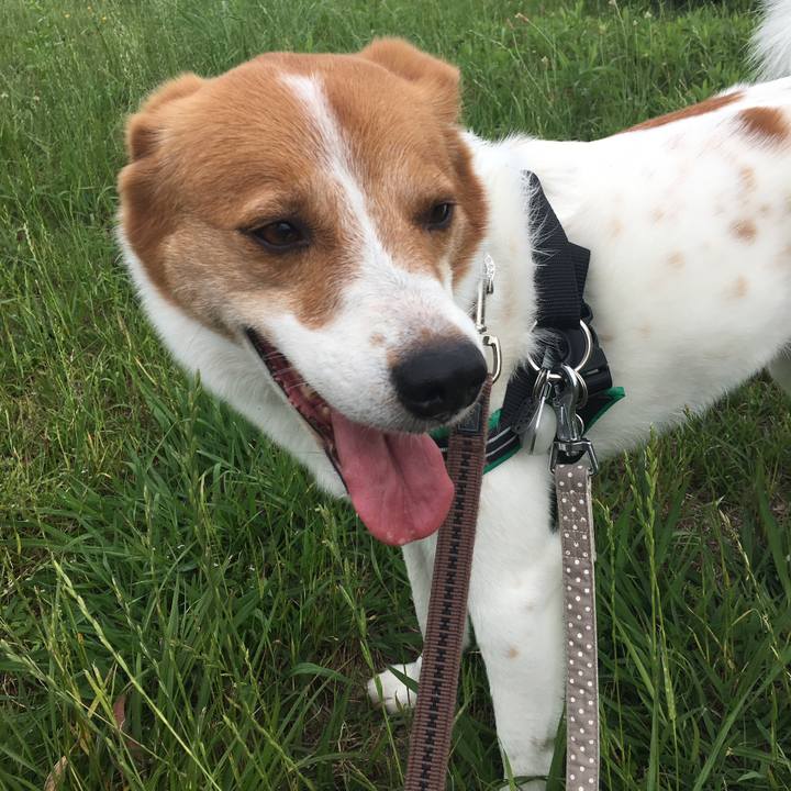 Ad98b75c aa75 4964 9272 9883643707d2