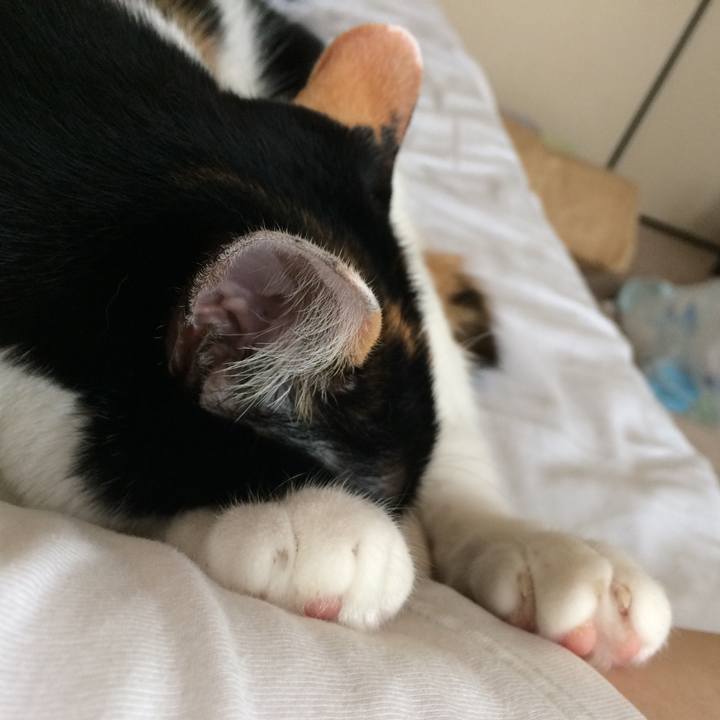 Ad98d691 0933 474e a71e 5509d0003299