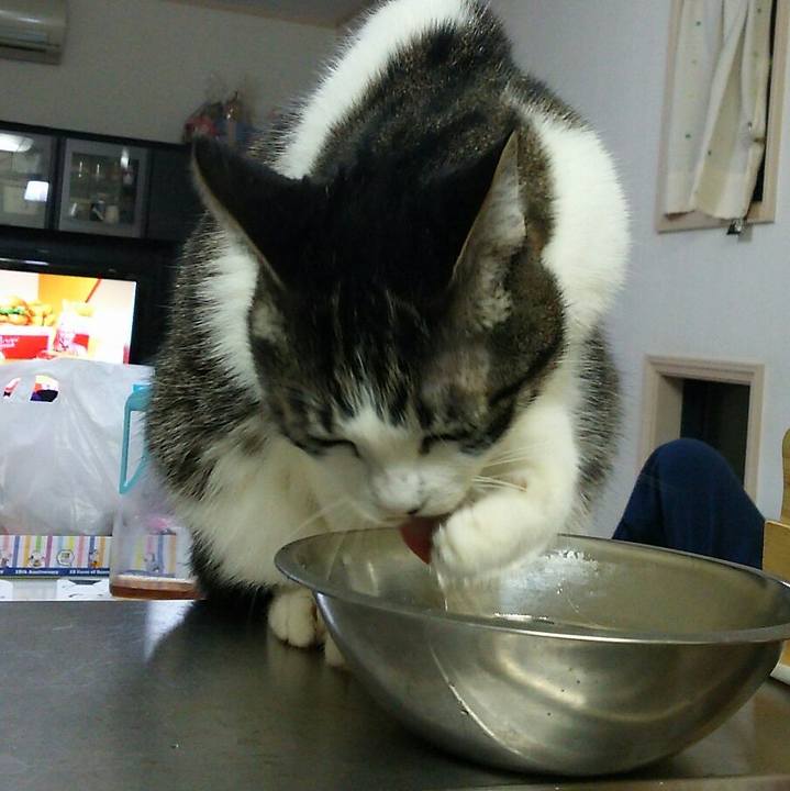 Ad98f8a4 f707 42b2 bfff 622093c55392