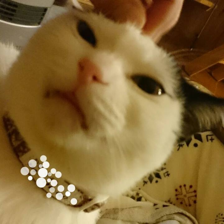 Ad9a6733 e892 42d0 8845 870634c5f326