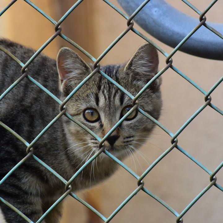 Ad9ac8e4 b039 4de1 8c3d 4aaeb24e871c