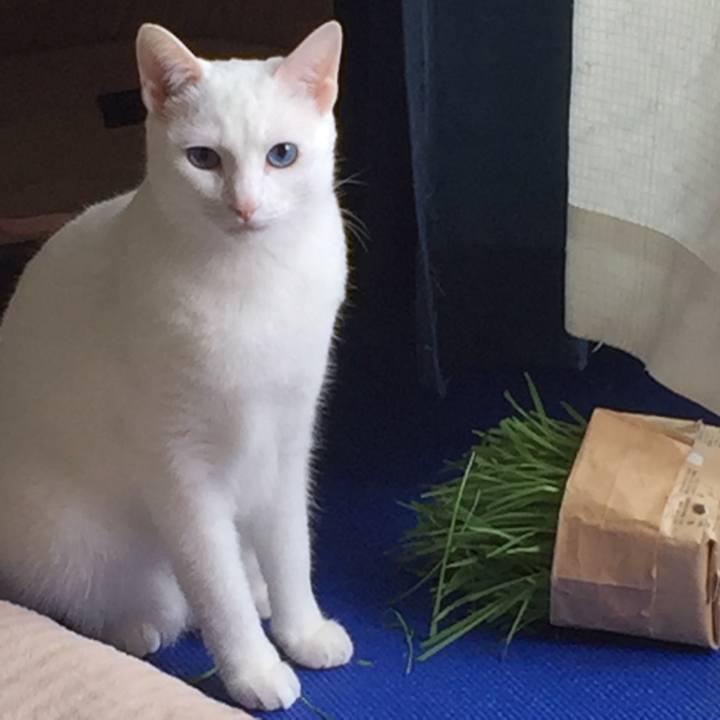 Ad9bcf38 c3ea 4bdb 9841 e4e82802d4fb